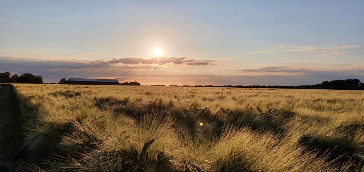 Jugendherberge Fehmarn Esterno foto
